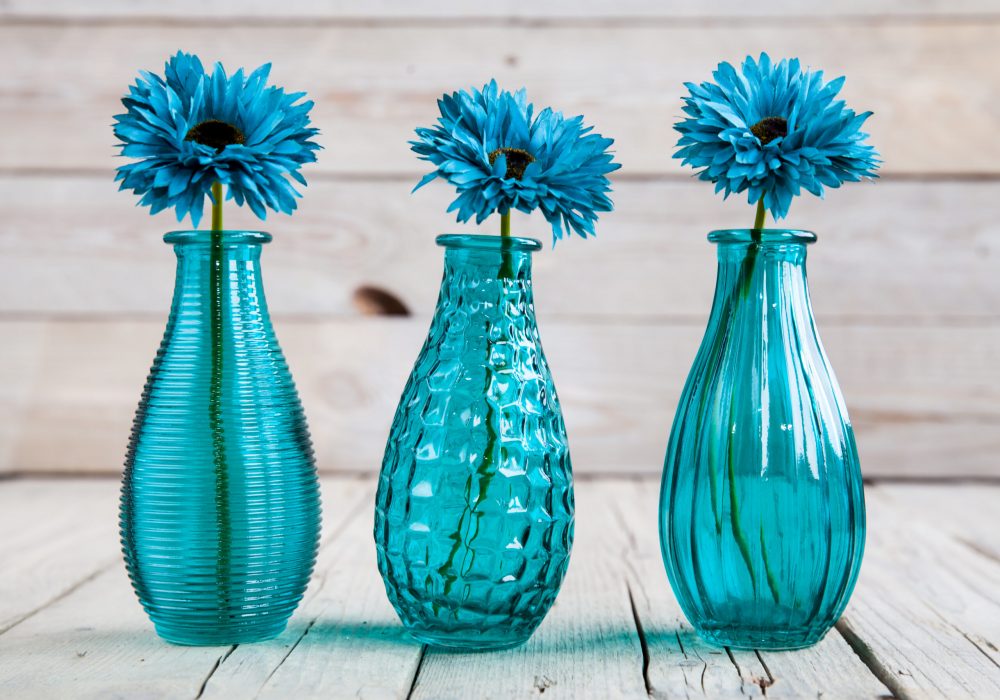 blue gerbera flower in a vase on wooden background and